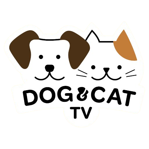 Dog & Cat TV
