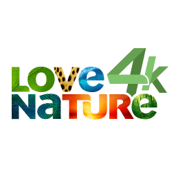Любіть природу 4K