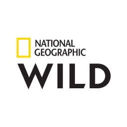 National Geographic Wildlife