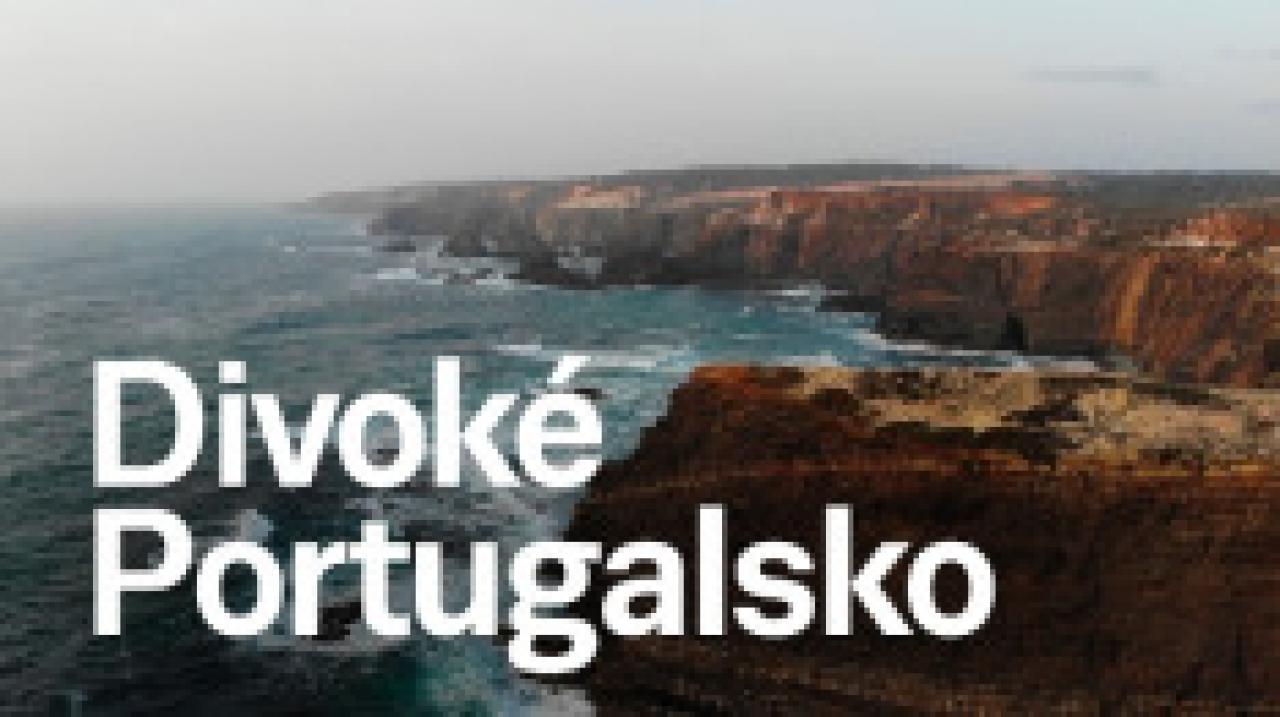 Divoké Portugalsko / 13.08.2024, 19:29