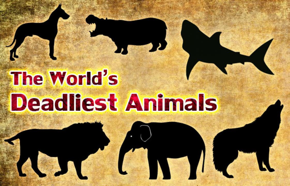 Svět nebezpečných zvířat