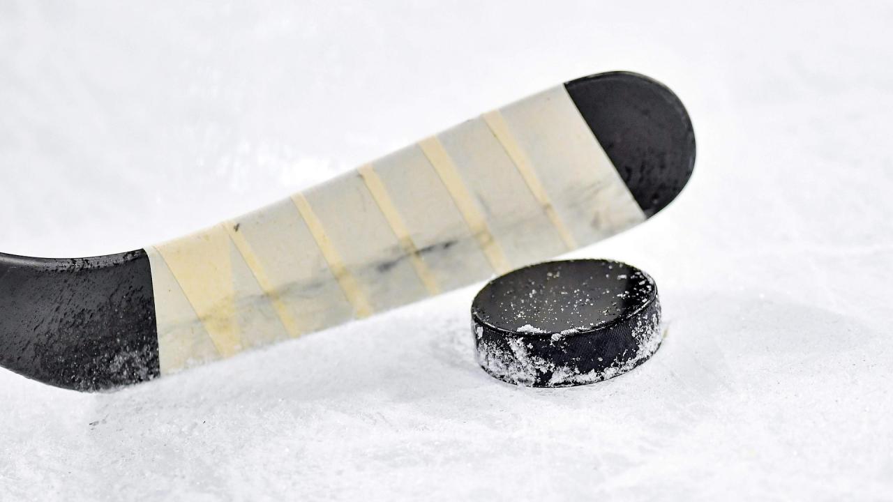 Lední hokej: Växjö - Frölunda