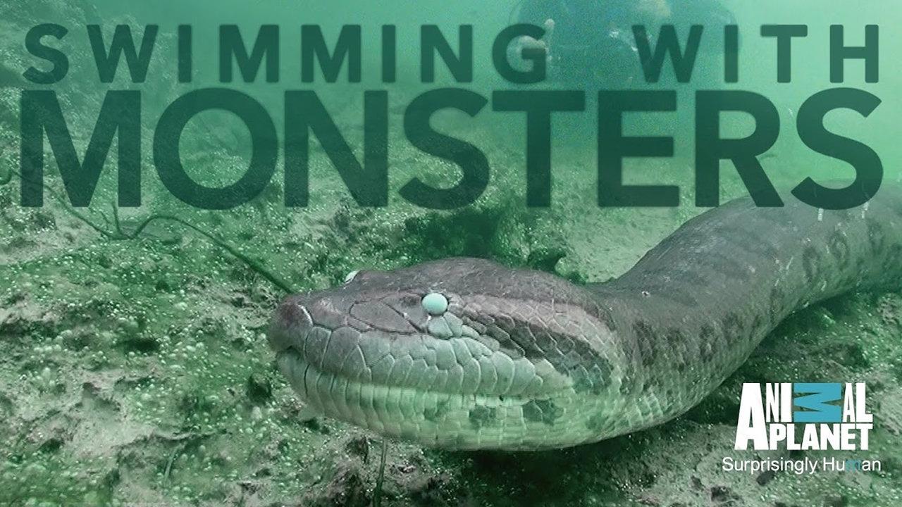Plavání s monstry: Steve Backshall