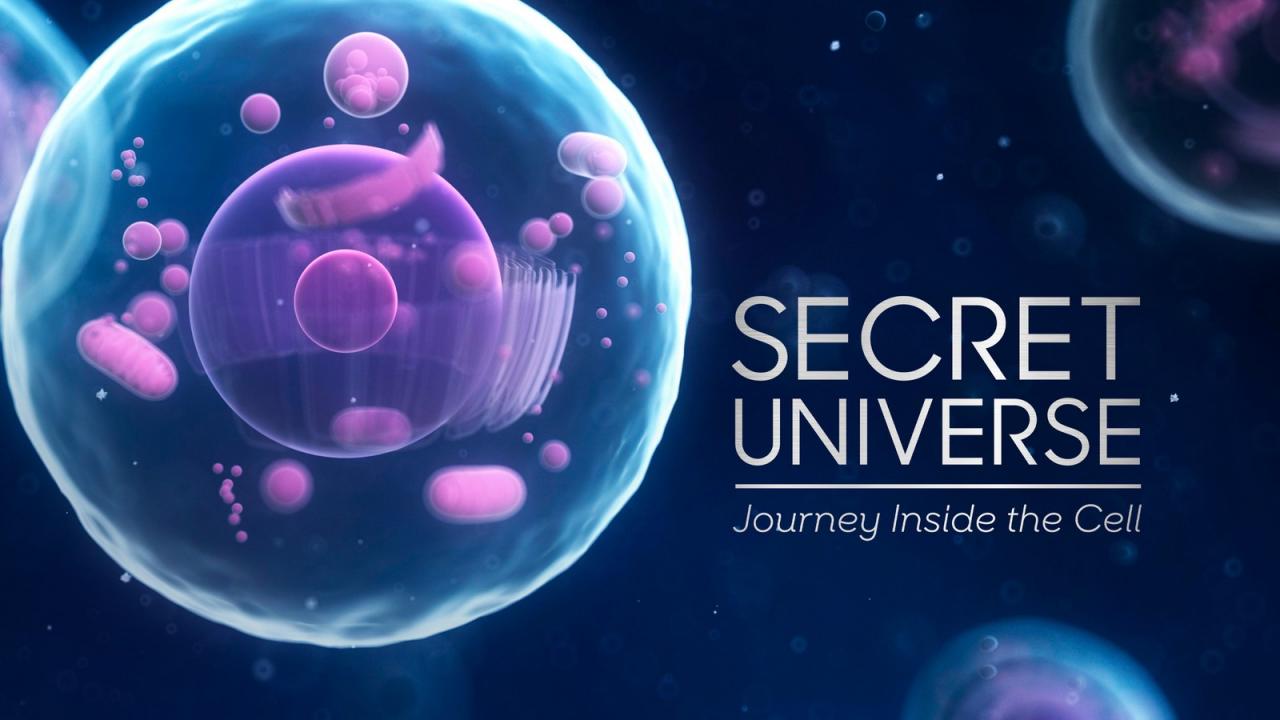 Our Secret Universe: The Hidden Life of the Cell