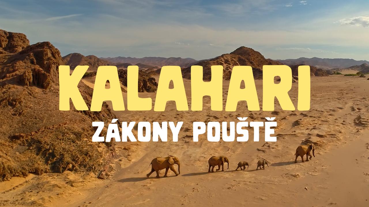 Kalahari - zákony pouště