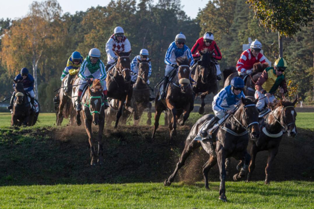 134. Velká pardubická se Slavia pojišťovnou