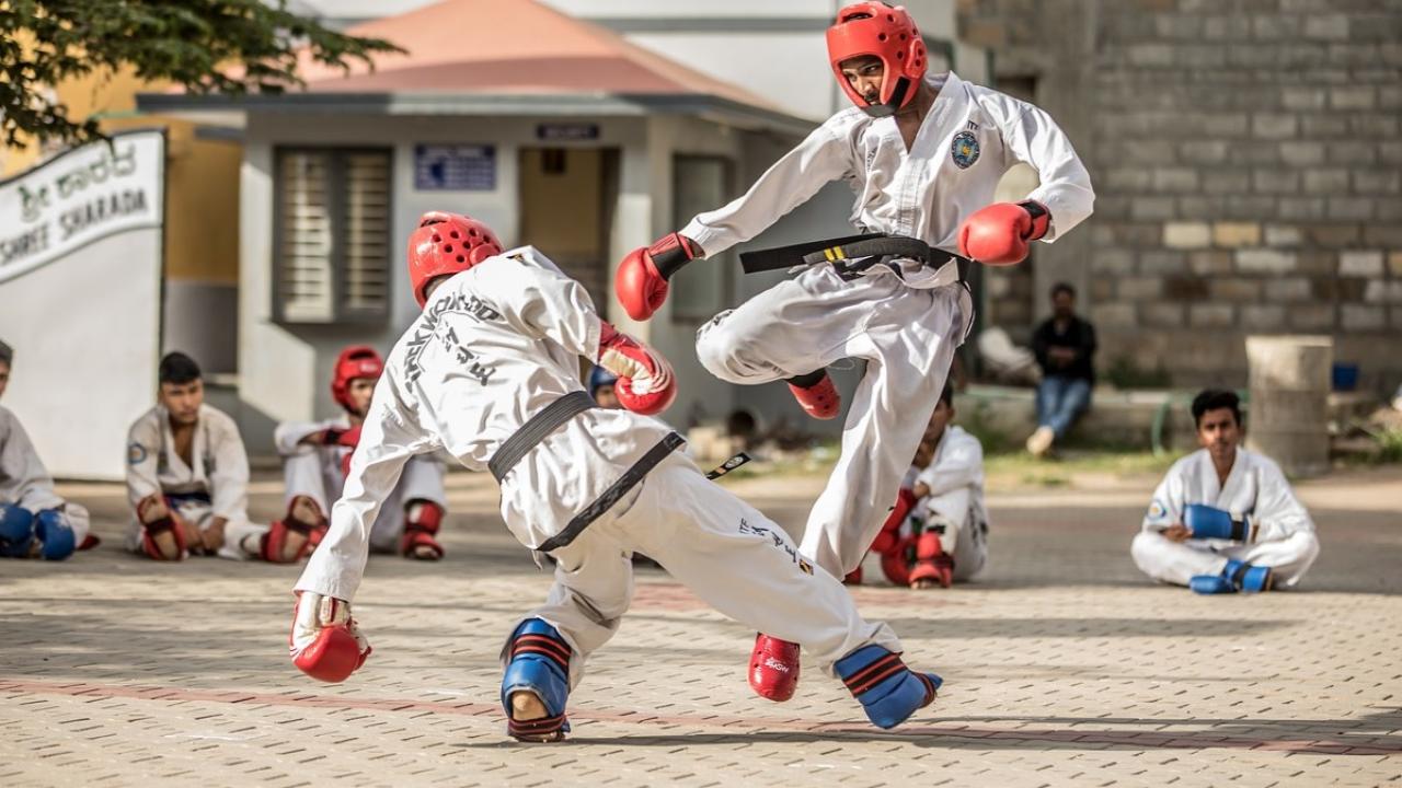 OH Paříž 2024 (Taekwondo) / 08.08.2024, 13:00