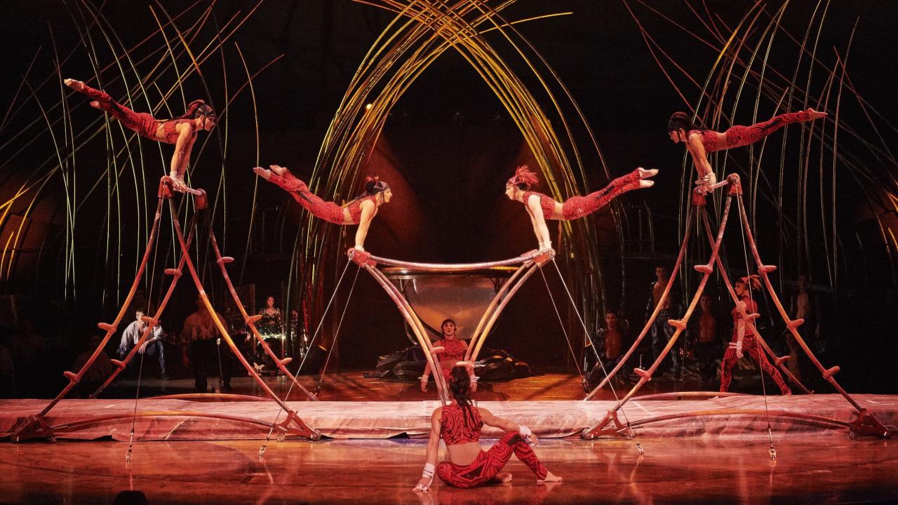 Cirque du Soleil: Amaluna