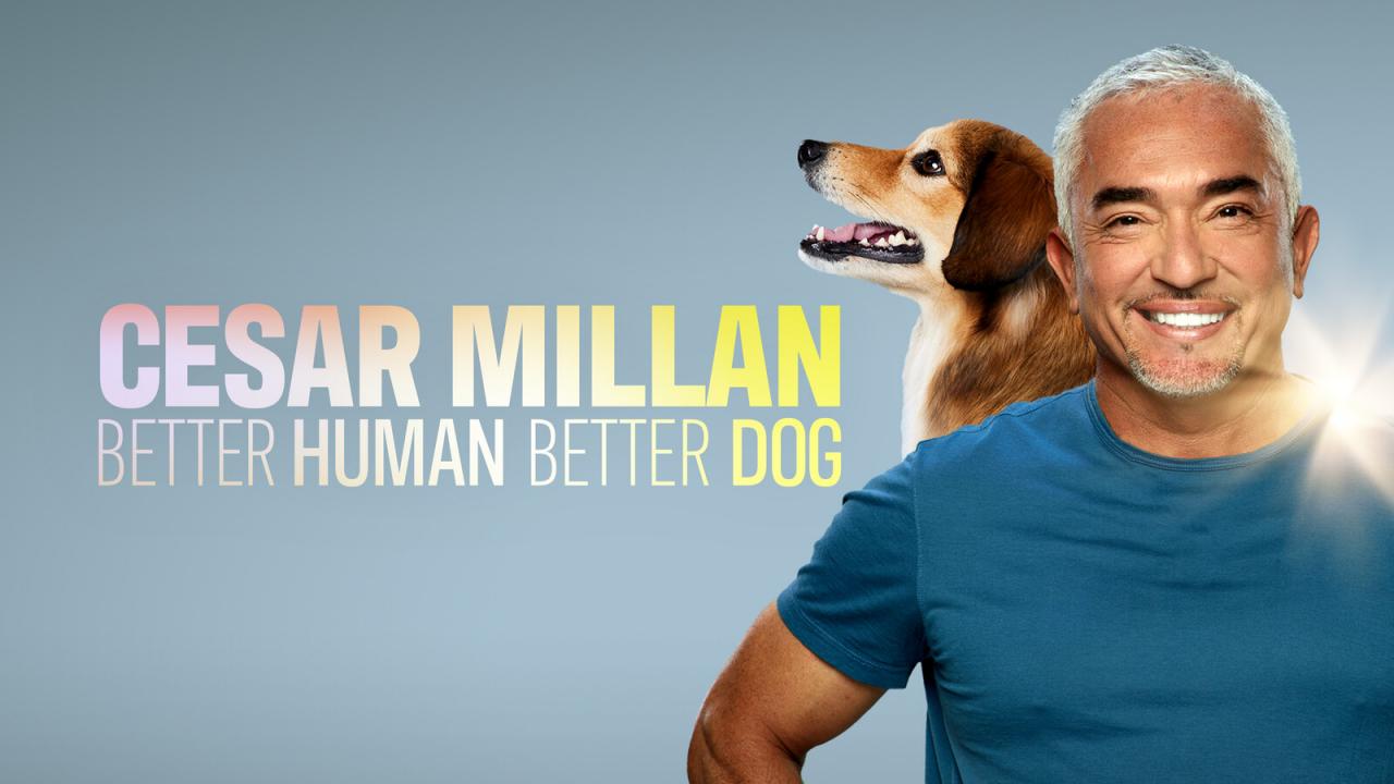 Cesar Millan: Better Human Better Dog / 09.09.2024, 20:26