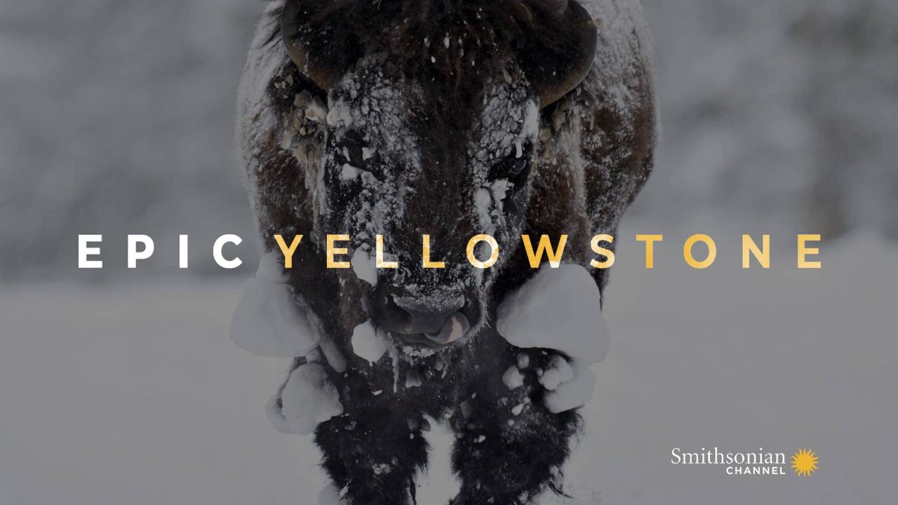 Impozantní Yellowstone