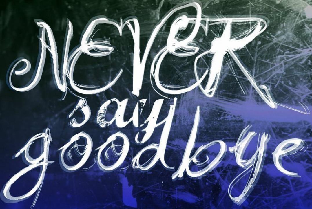 Never Say Goodbye