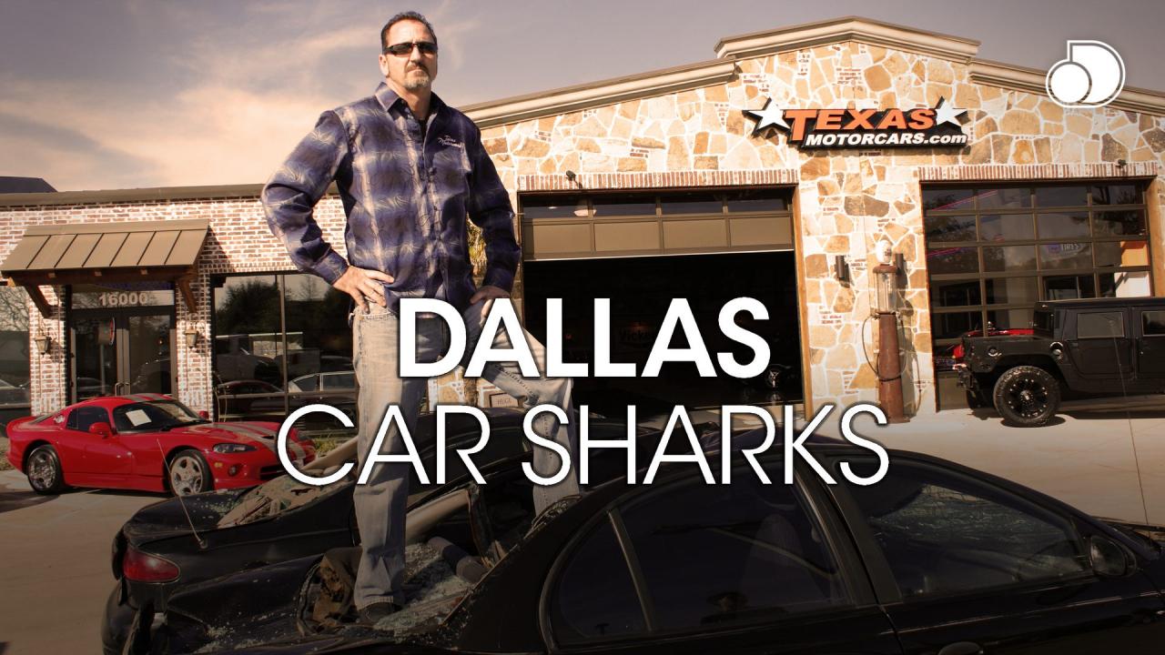 Dallas Car Sharks