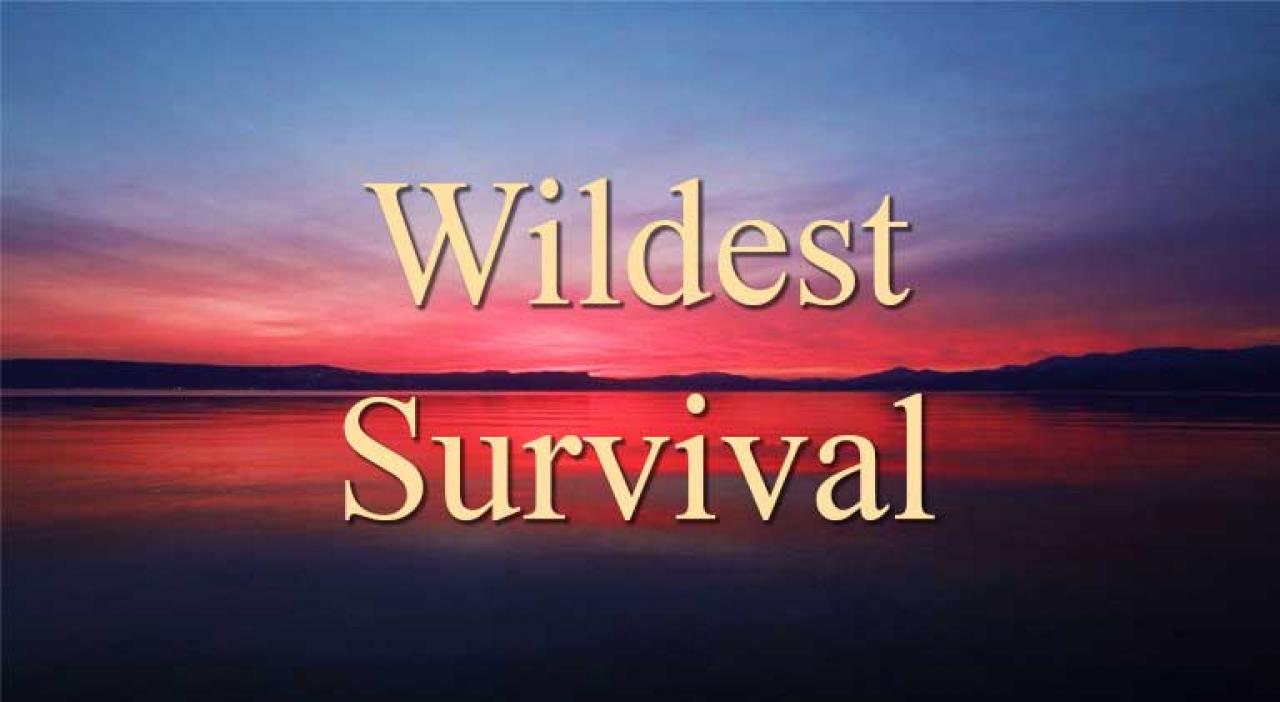 Wildest Survival