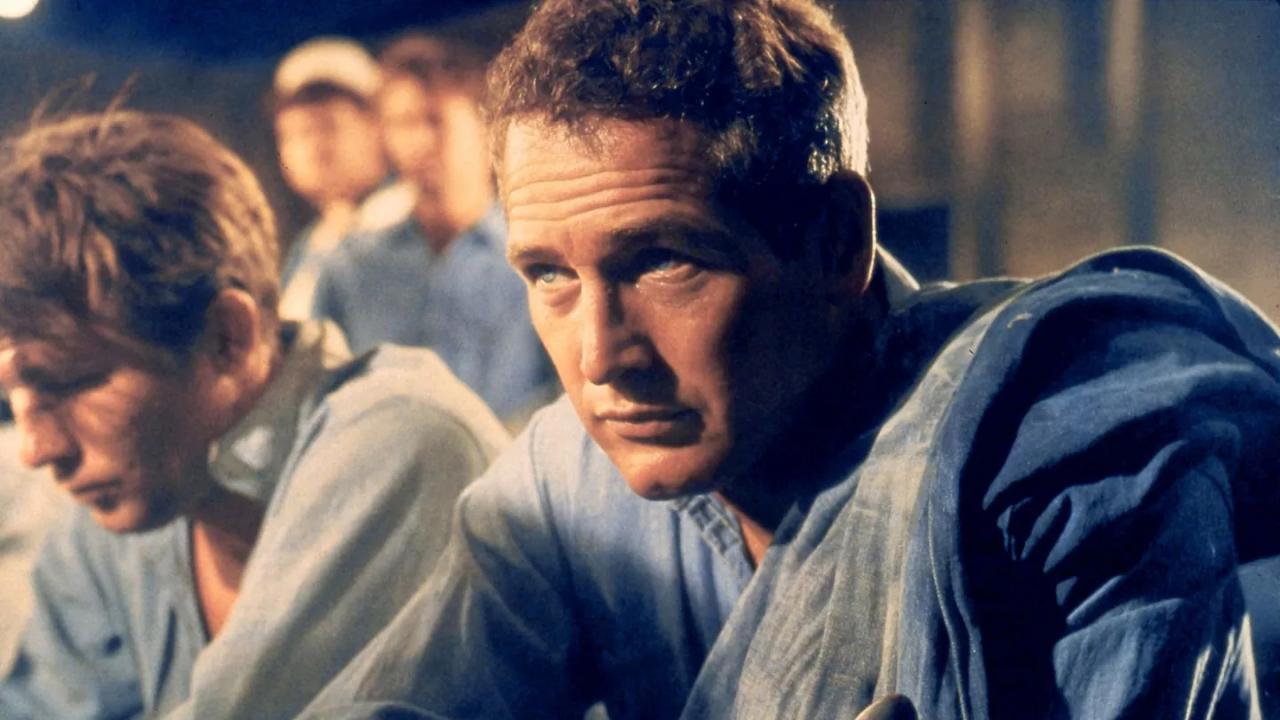 Paul Newman, L’Intranquille