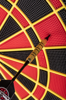 Darts - šipky, 2014 World Championship, 2. kolo, Taylor - Smith