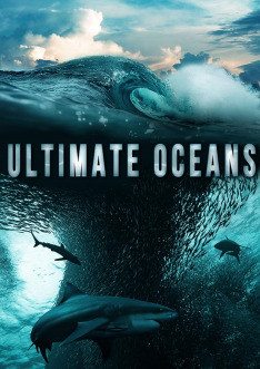 Mocné oceány (S1E3): Fascinující žraloci