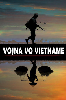 Vojna vo Vietname
