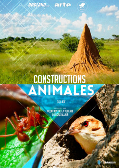 Animal Construction