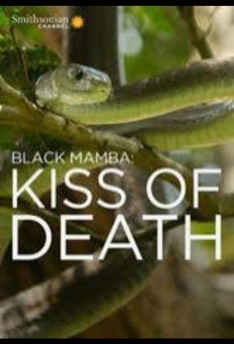 Mamba černá: Polibek smrti