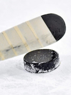 Lední hokej: Färjestad - Leksand