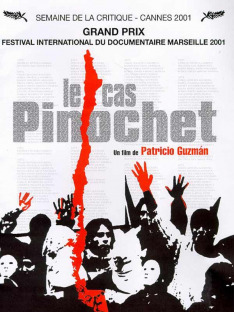 Prípad Pinochet
