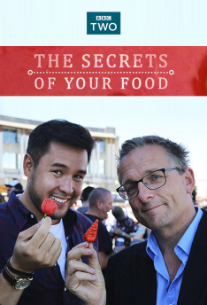 Tajemství vašeho jídla