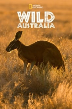 Divoká Austrálie