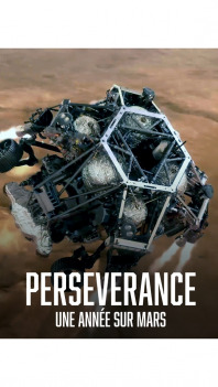 One Year on Mars - The Journey of Perseverance Robot on the Red Planet