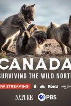 Kanada: Jak přežít divoký sever
