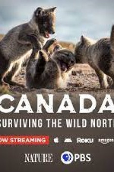 Canada – Surviving the Wild North