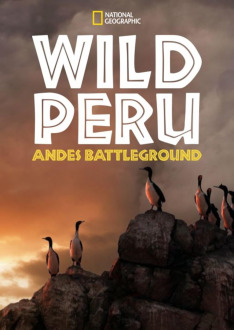 Divoké Peru: Andy