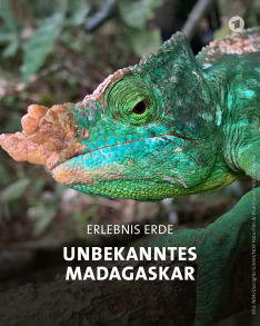 Unknown Madagascar