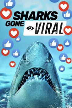 Žraločí virál