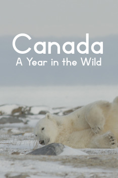 Kanada: Rok v divočině