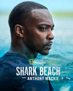 Anthony Mackie na pláži žraloků: Pobřeží Mexického zálivu