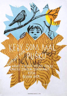 Keby som mal pušku