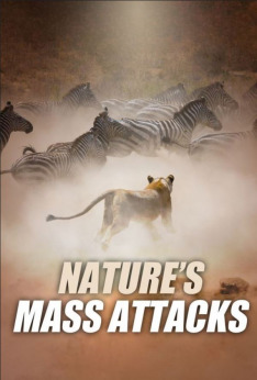 Hromadné útoky v přírodě