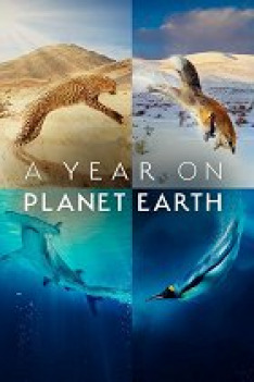 Rok na Planetě