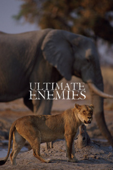 Ultimate Enemies (Revealed)