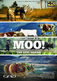 Moo! The Epic Horns