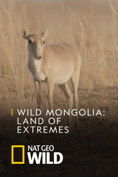 Divoké Mongolsko: země extrémů