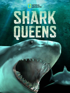Žraločí královny