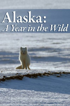 Aljaška: Rok v divočině