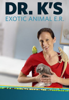 Pohotovost pro exotická zvířata IV (Rozpustilá lemurka)