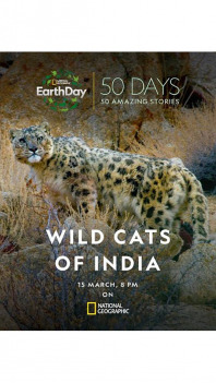 Indické divoké kočky (S1E2): Mistryně převleků