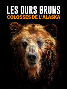 The Giant Bears of Alaska