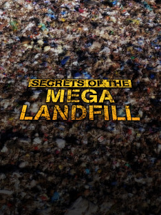 Secrets of the Mega Landfill