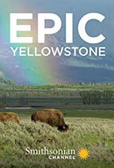 Impozantní Yellowstone
