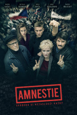 Amnestie