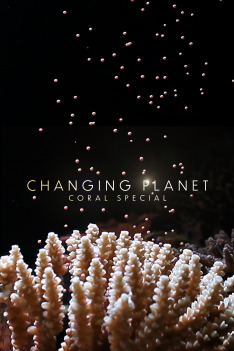 Měnící se planeta: Koráli